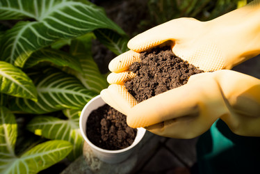 Similar image 7800024