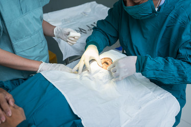 Similar image 7800058