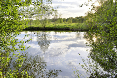 Similar image 7800073