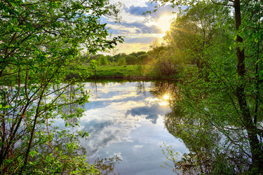 Similar image 7800074