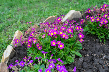 Similar image 7800082