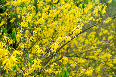 Similar image 7800083