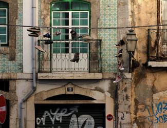 Similar image 7800239