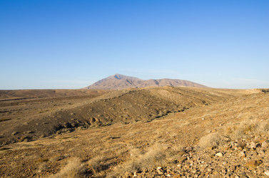 Similar image 7800246