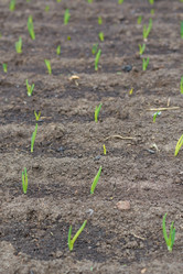 Similar image 7800268