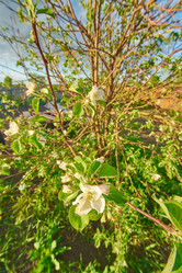 Similar image 7800292