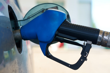 Similar image 7800302