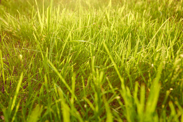 Similar image 7800303