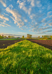 Similar image 7800304