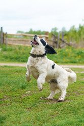 Similar image 7800306