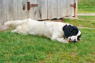 Similar image 7800307