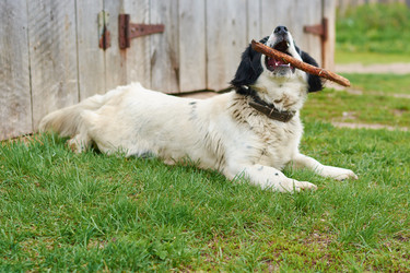 Similar image 7800308