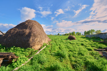 Similar image 7800311