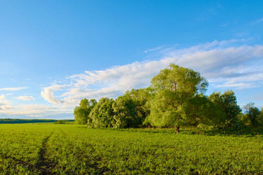 Similar image 7800312