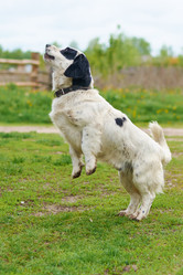 Similar image 7800313