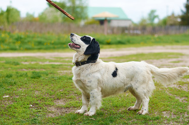 Similar image 7800314