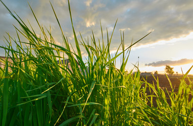 Similar image 7800315