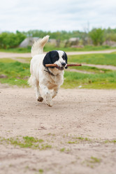 Similar image 7800318