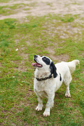 Similar image 7800321