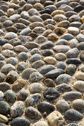 Similar image 7800582