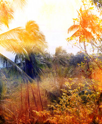 Similar image 7800780