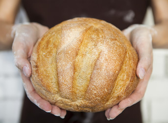 Similar image 7801105