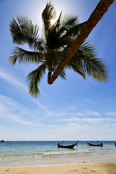 Similar image 7801225