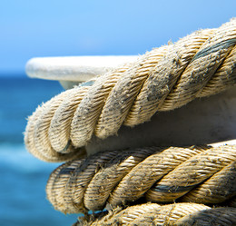 Similar image 7801265