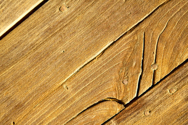 Similar image 7801302