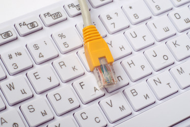 Similar image 7801607