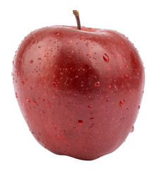 Similar image 7801652