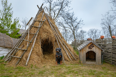 Similar image 7801846