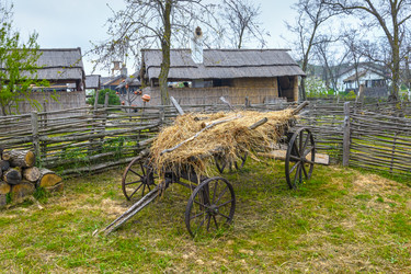 Similar image 7801851