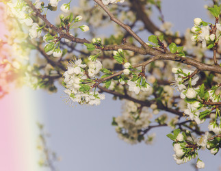 Similar image 7801908