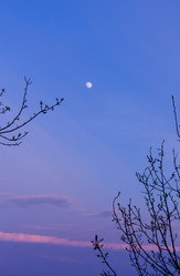 Similar image 7801919