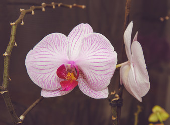 Similar image 7801924