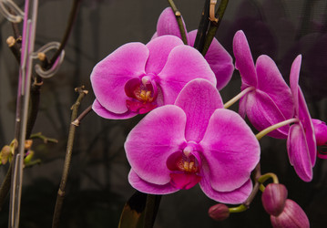 Similar image 7801925