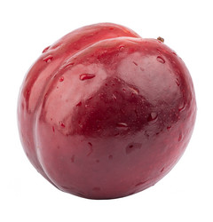 Similar image 7801947