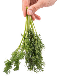 Similar image 7801953