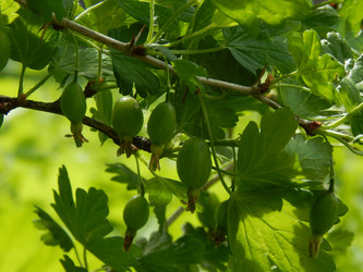 Similar image 7801972