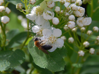 Similar image 7801973