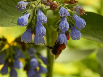 Similar image 7801974