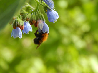 Similar image 7801975