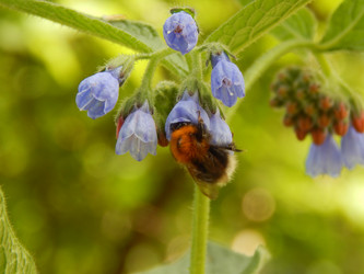 Similar image 7801977