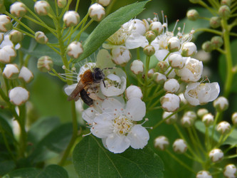 Similar image 7801978