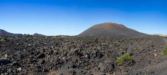 Similar image 7801988