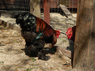 Similar image 7801993