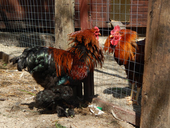 Similar image 7801994