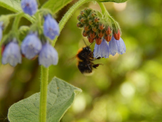 Similar image 7801995