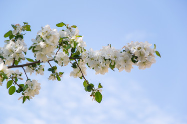 Similar image 7801998